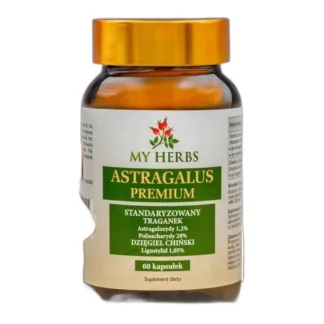 Astragalus Traganek Dzięgiel Chiński polisacharydy ligustylid 60 kaps. — zdjęcie 1