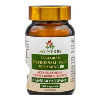 FOSFORAN PIRYDOKSALU P-5-P WIT B6 STANDAR AKTYWNA FORMA 120 KAPS — zdjęcie 1
