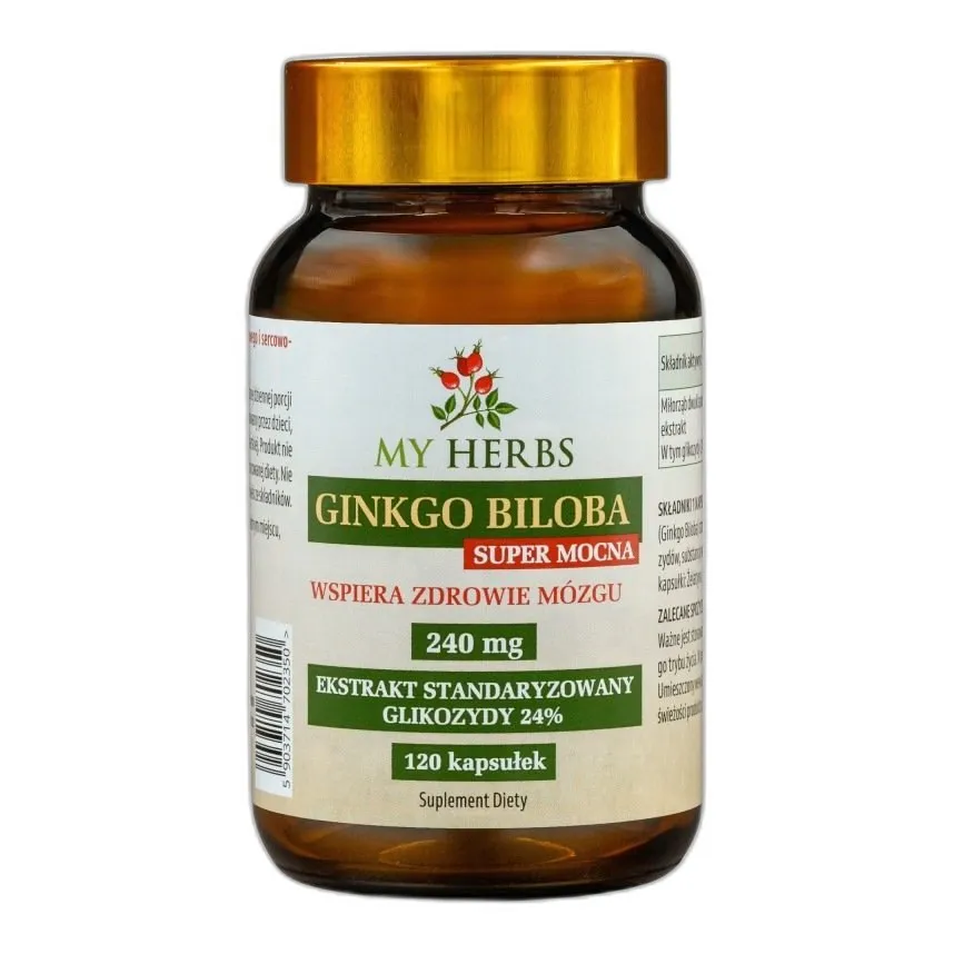 ekstrakt z miłorzębu japońskiego 240 mg – wsparcie dla pamięci i koncentracji — zdjęcie 2