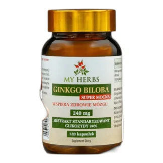 ekstrakt z miłorzębu japońskiego 240 mg – wsparcie dla pamięci i koncentracji — zdjęcie 1