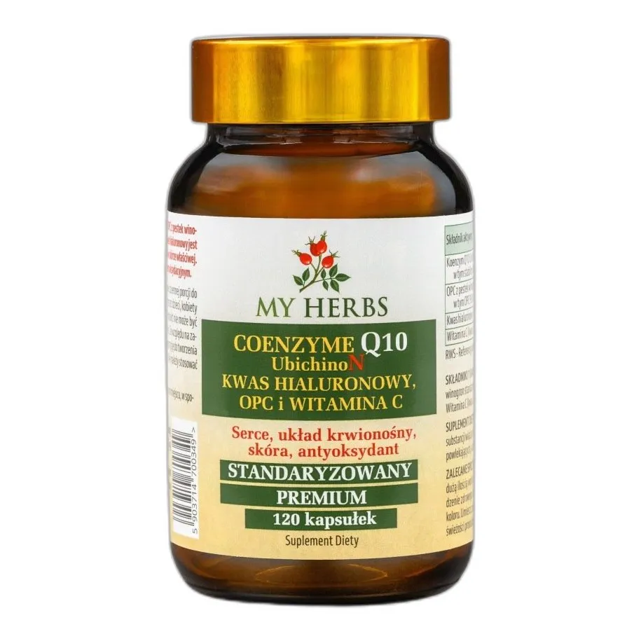 koenzym q10 z kwasem hialuronowym i witaminą c – wsparcie dla skóry i witalności — zdjęcie 2