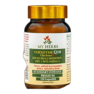 koenzym q10 z kwasem hialuronowym i witaminą c – wsparcie dla skóry i witalności — zdjęcie 1