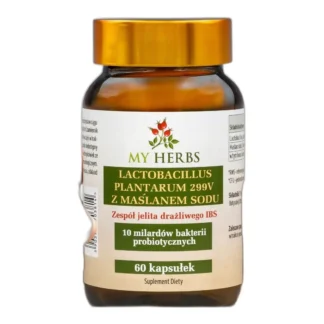 LACTOBACILLUS PLANTARUM PROBIOTYK Z MAŚLANEM SODU 60 KAPS. — zdjęcie 1