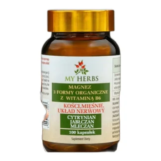 magnez z witaminą b6 w trzech formach – cytrynian, mleczan, jabłczan – 100 kapsu — zdjęcie 1