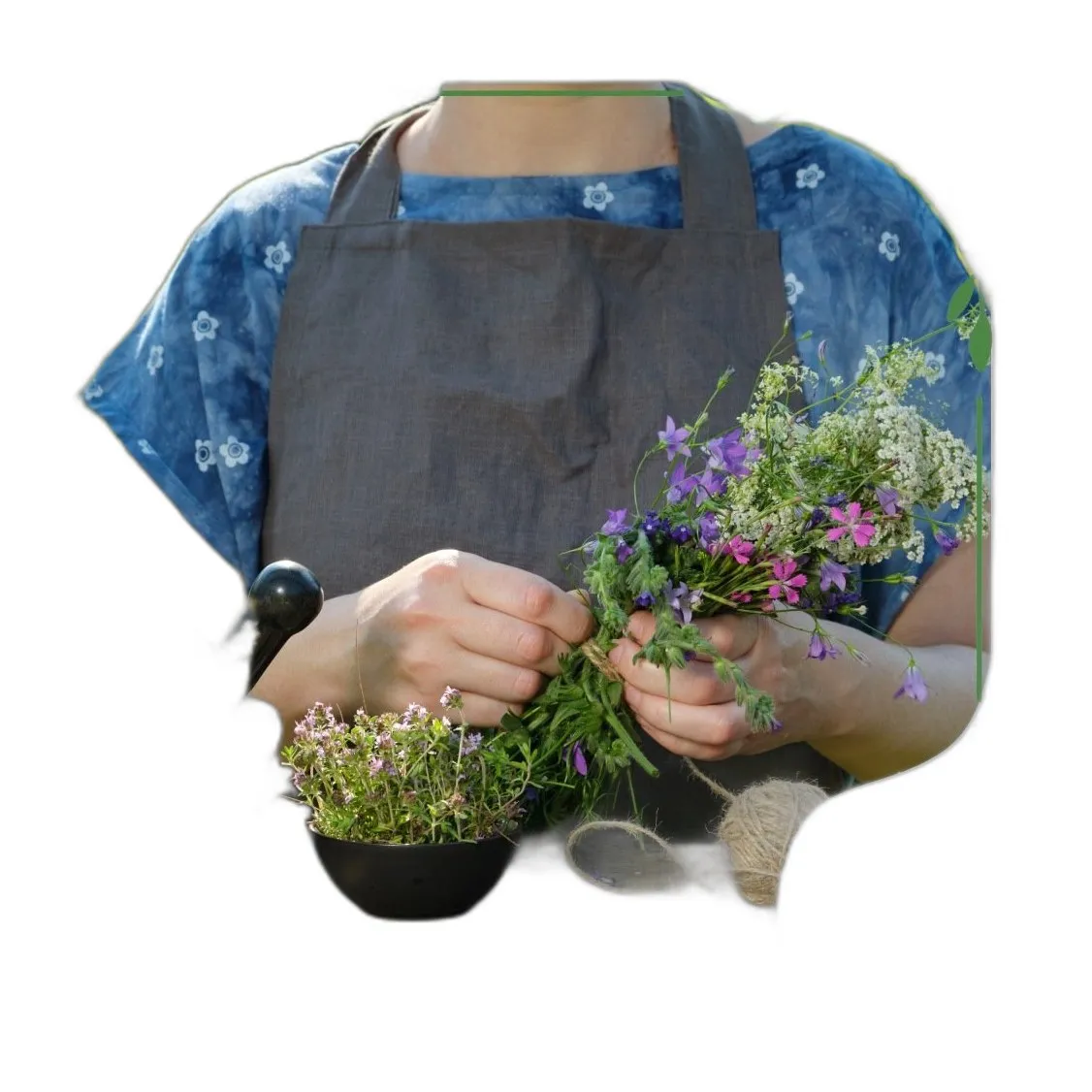 Moje Endometrium trans-resveratrol EGCG wit B6 80 kaps. na endometriozę — zdjęcie 3