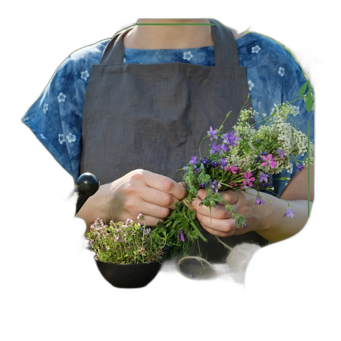 ekstrakt z czosnku w kapsułkach – wspiera odporność i zdrowie serca — zdjęcie 3