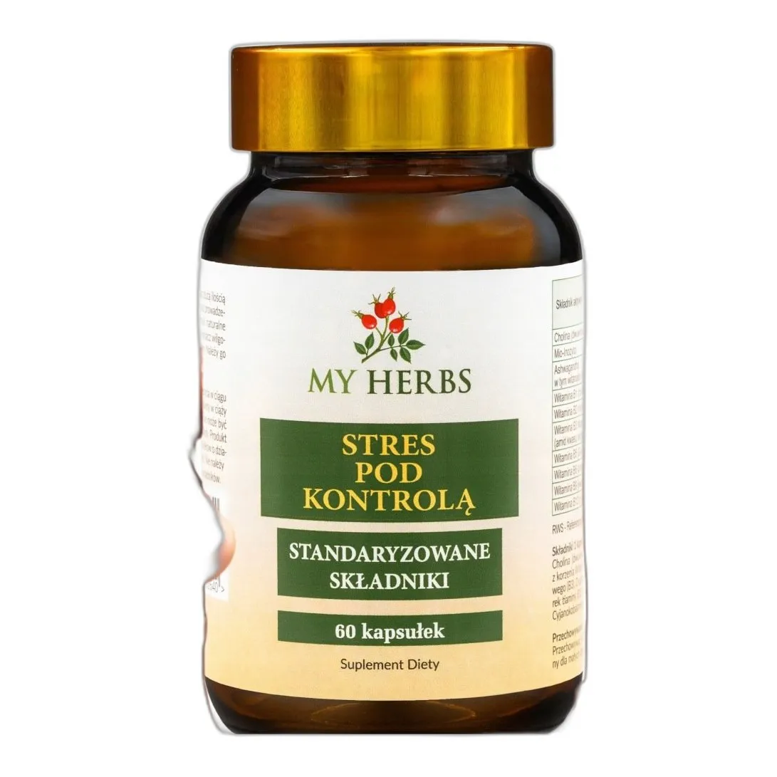 STRES POD KONTROLĄ, CHOLINA, MIO-INOZYTOL, ASHWAGANDHA, WIT B COMPLEX 60 — zdjęcie 1